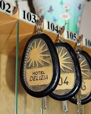 Delizia Hotell 2*